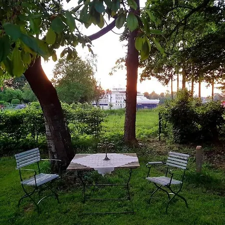 Alte Linde Am Nok